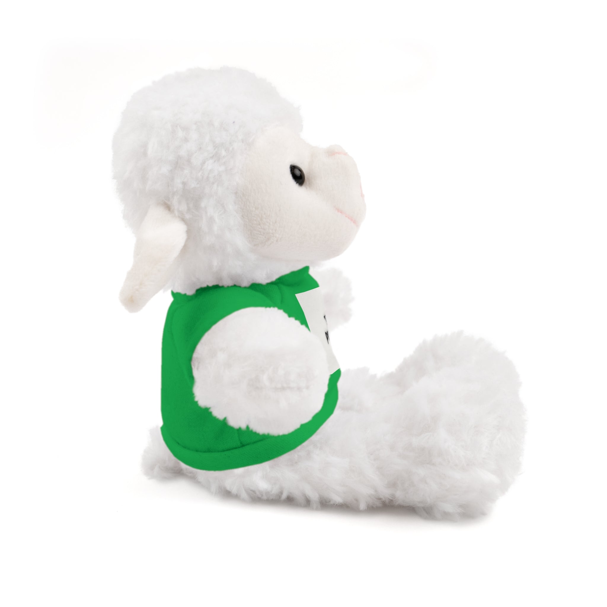 Ours en peluche avec t-shirt - Cadeau en peluche personnalisé