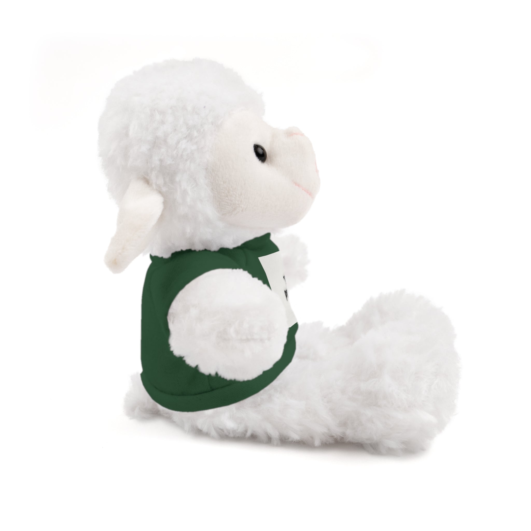 Ours en peluche avec t-shirt - Cadeau en peluche personnalisé