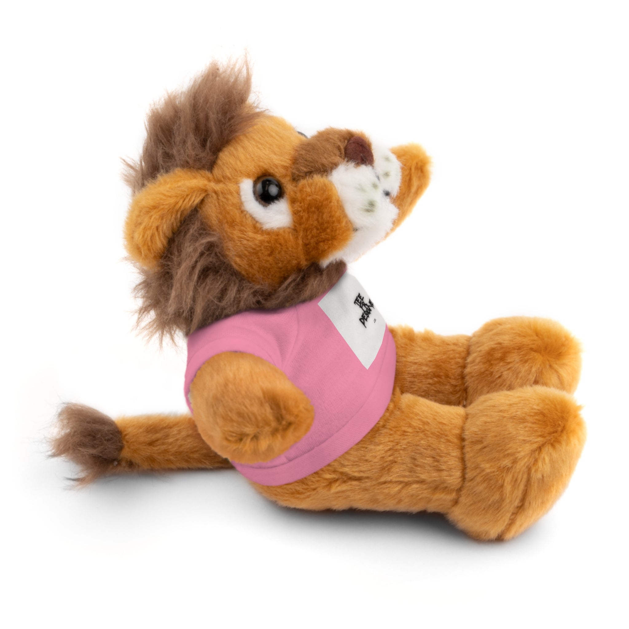Ours en peluche avec t-shirt - Cadeau en peluche personnalisé