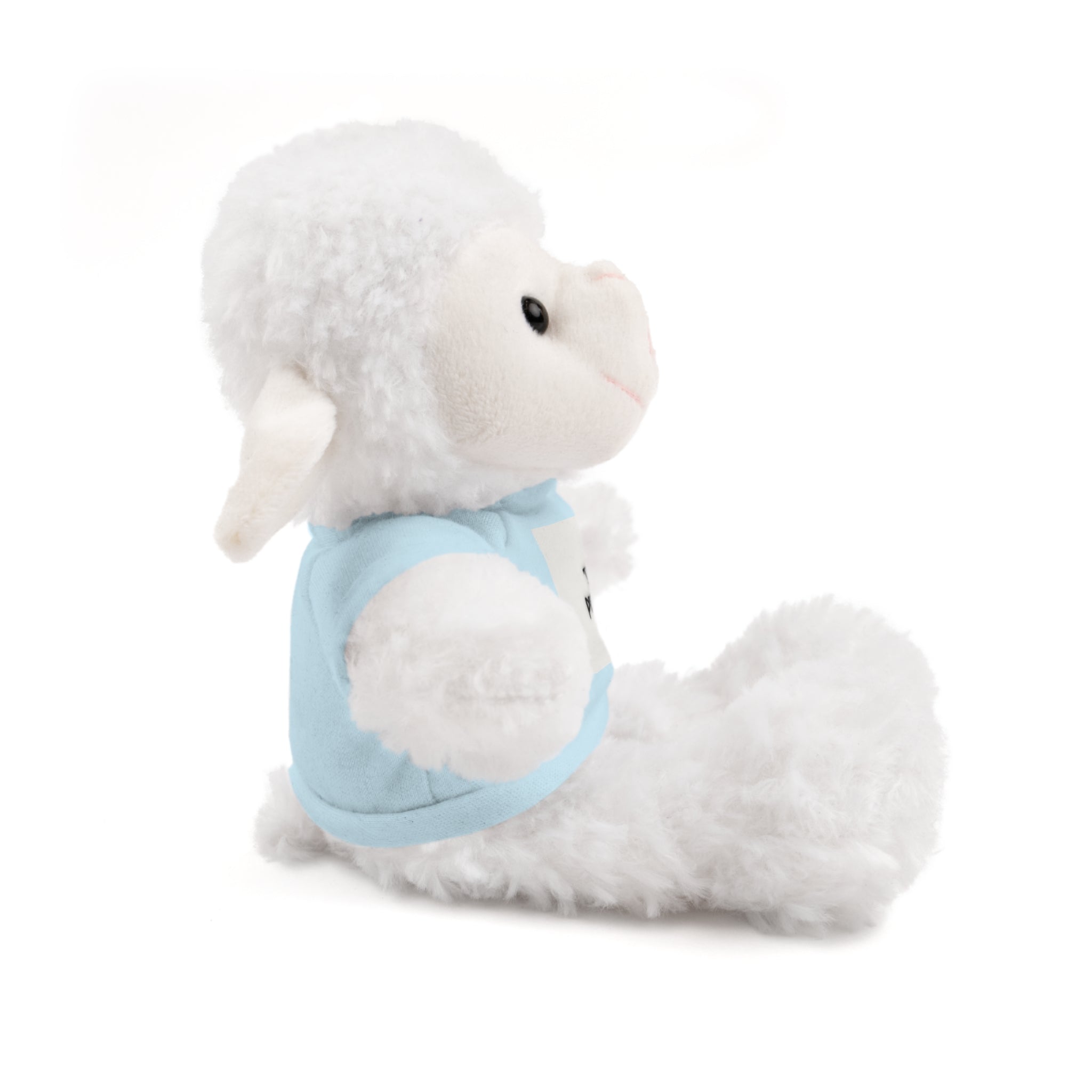 Ours en peluche avec t-shirt - Cadeau en peluche personnalisé
