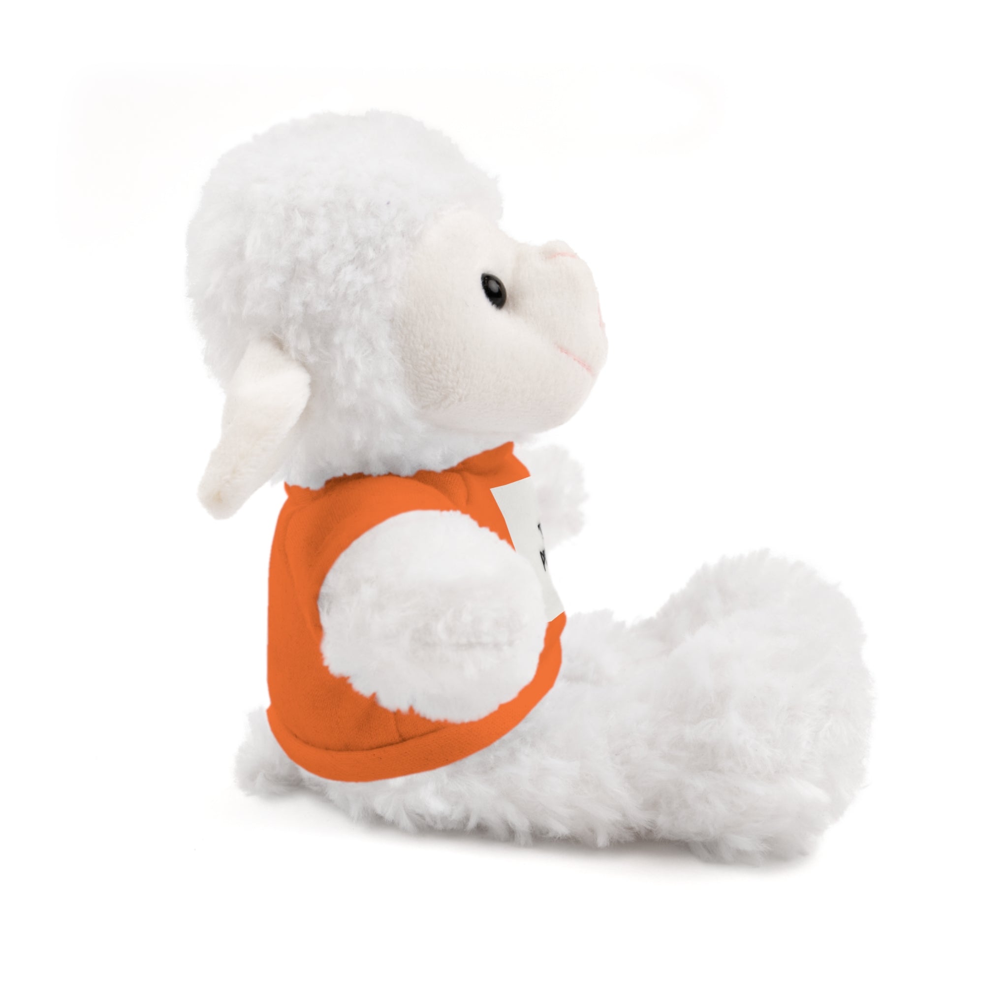 Ours en peluche avec t-shirt - Cadeau en peluche personnalisé