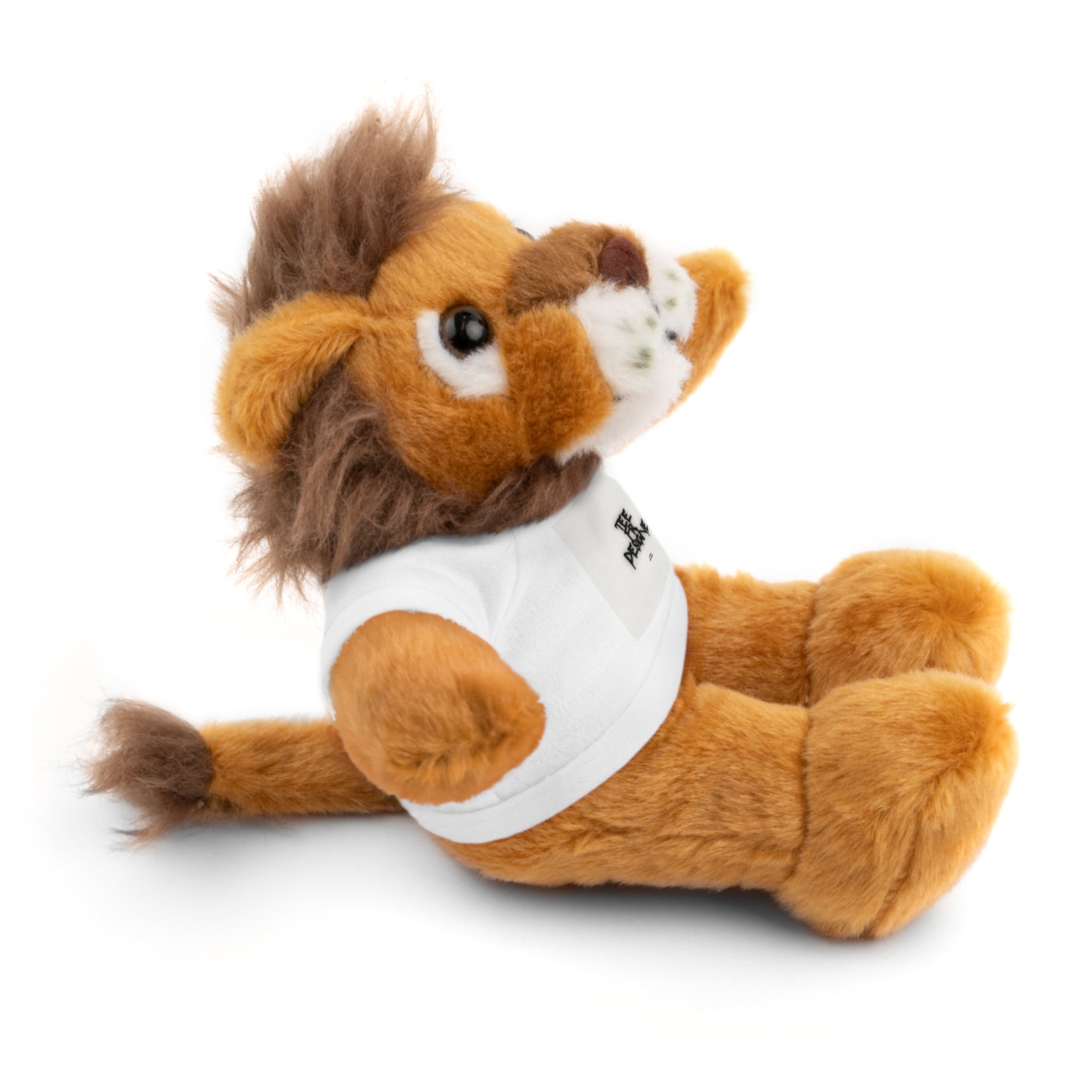 Ours en peluche avec t-shirt - Cadeau en peluche personnalisé