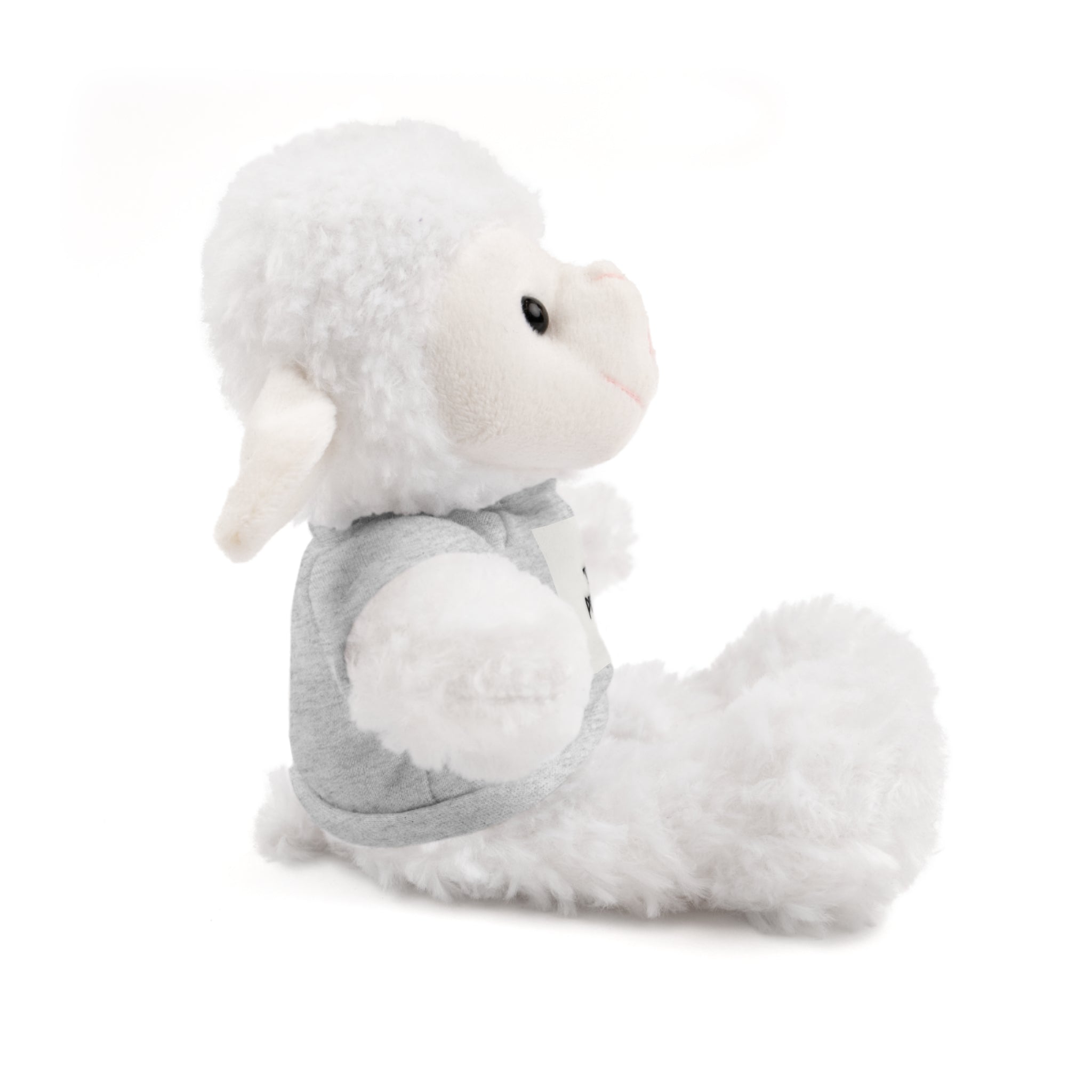 Ours en peluche avec t-shirt - Cadeau en peluche personnalisé